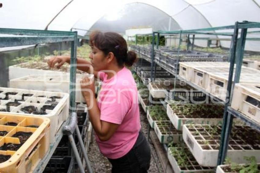 PROYECTO AGUA PARA SIEMPRE