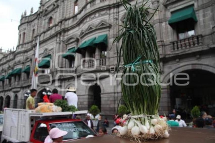 MANIFESTACIÓN EN EL AYUNTAMIENTO