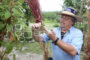 PROYECTO AGUA PARA SIEMPRE