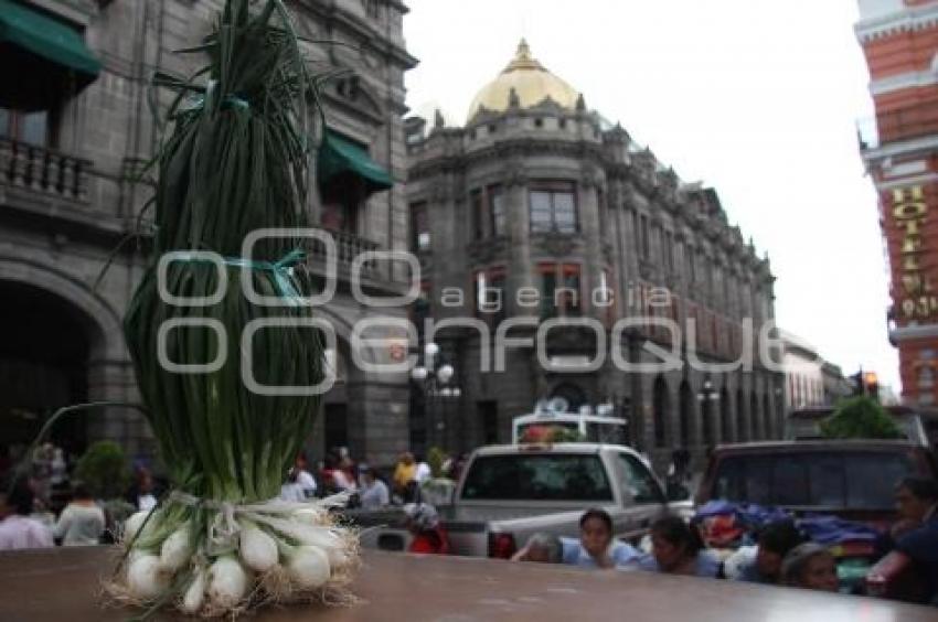 MANIFESTACIÓN EN EL AYUNTAMIENTO