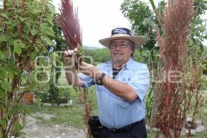 PROYECTO AGUA PARA SIEMPRE
