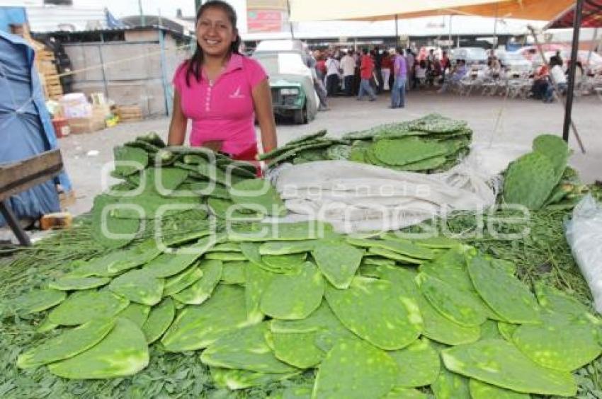 ECONOMÍA . NOPAL