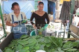 ECONOMÍA . NOPAL