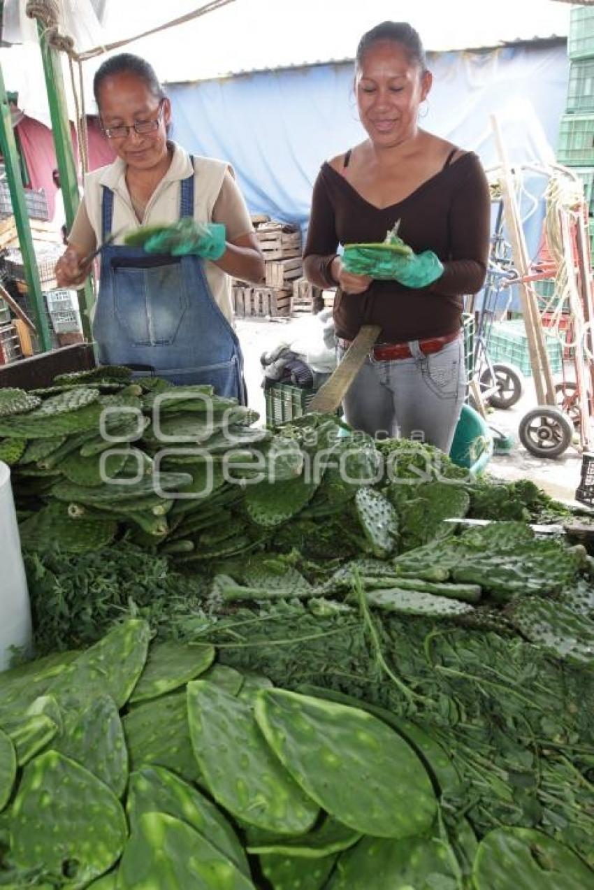 ECONOMÍA . NOPAL