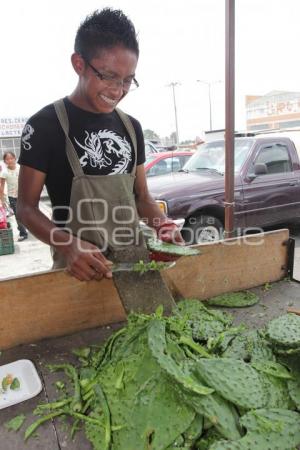 ECONOMÍA . NOPAL