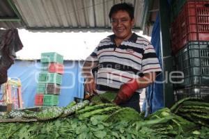 ECONOMÍA . NOPAL