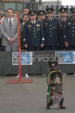 LA GRAN FUERZA DE MÉXICO