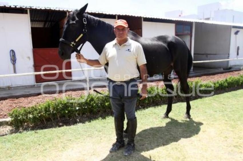 AGUSTÍN CARVANTES - JINETE POBLANO
