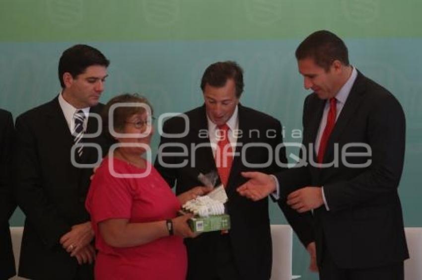 PROGRAMA LUZ SUSTENTABLE