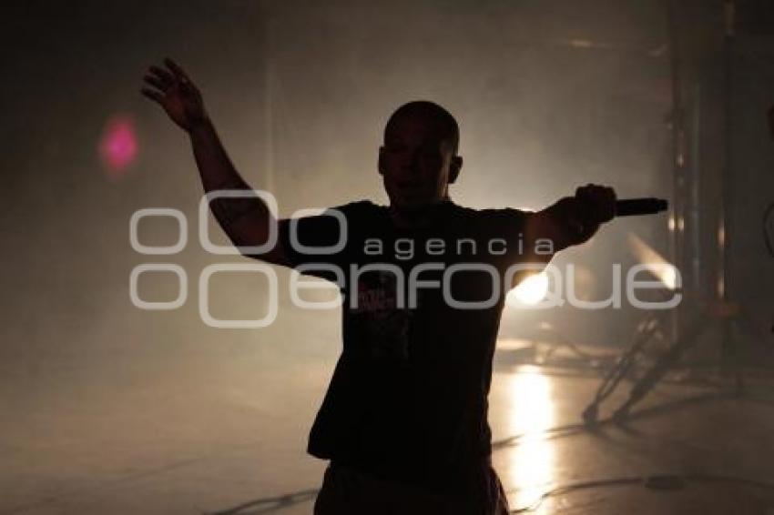 CONCIERTO . CALLE 13