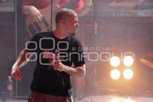 CONCIERTO . CALLE 13