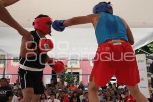 TORNEO DE BOX LOS BARRIOS