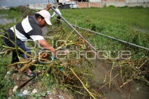 LIMPIEZA DE ZANJA EN LA COLONIA LA JOYA