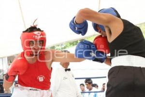 BOX - TORNEO DE BARRIOS