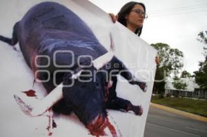 MANIFESTACIÓN EN CONTRA DE LA TAUROMAQUÍA