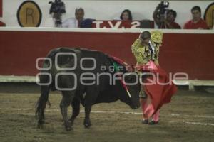 TOROS . MARIPAZ VEGA