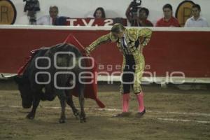 TOROS . MARIPAZ VEGA