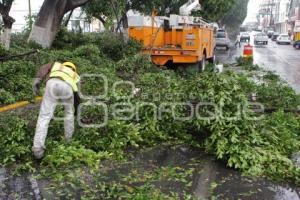 PARQUES Y JARDINES