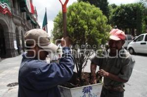 MANTENIMIENTO A LAS MACETAS DEL CENTRO