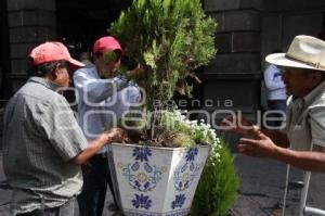 MANTENIMIENTO A LAS MACETAS DEL CENTRO