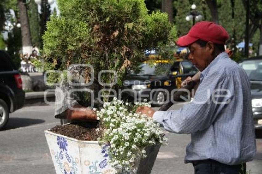 MANTENIMIENTO A LAS MACETAS DEL CENTRO