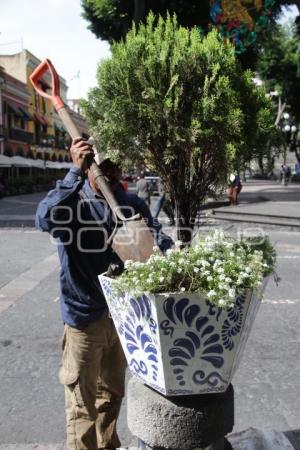 MANTENIMIENTO A LAS MACETAS DEL CENTRO