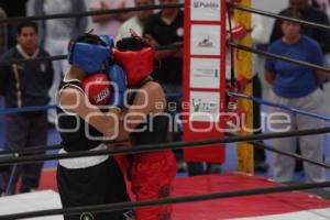 FINAL TORNEO DE BOXEO LOS BARRIOS