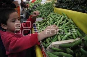 HELADAS PROVOCAN EL ALZA EN PRECIOS DE VERDURAS Y HORTALIZAS.