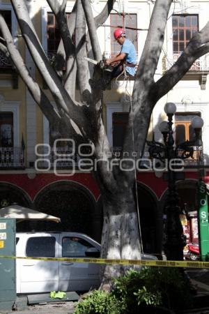 PREPARATIVOS EN EL ZÓCALO