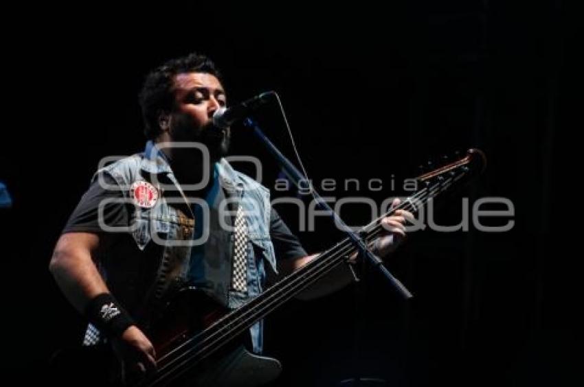 CORONA MUSIC FEST 2011- MOLOTOV