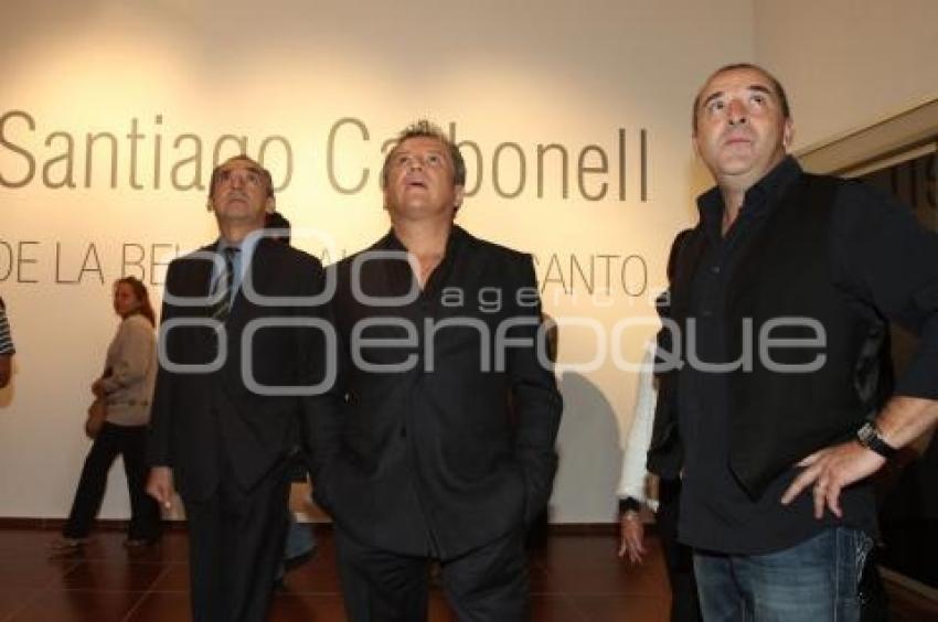 DE LA BELLEZA AL DESENCANTO