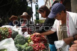 PRODUCTORES VENDEN EN EL ZÓCALO DE LA CIUDAD