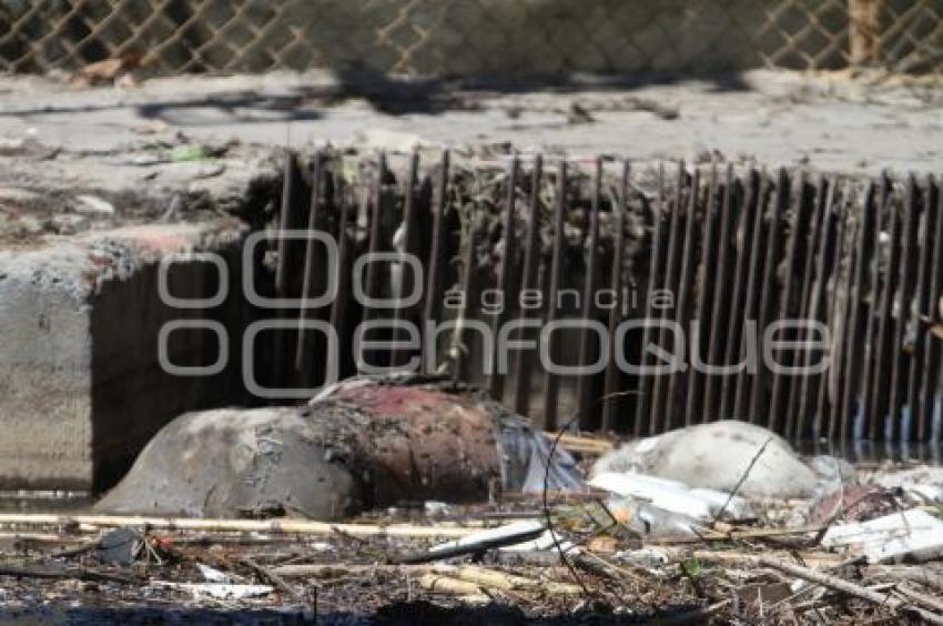ENCUENTRAN CUERPO HUMANO EN LAS COMPUERTAS DE SANTA CLARA OCOYUCAN