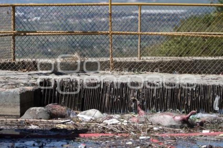 ENCUENTRAN CUERPO HUMANO EN LAS COMPUERTAS DE SANTA CLARA OCOYUCAN