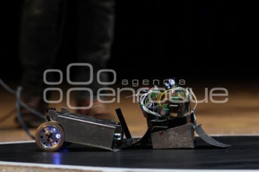 SUMOBOT 2011