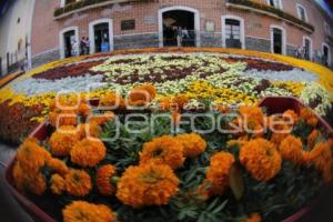 DÍA DE MUERTOS . ALFOMBRA MONUMENTAL