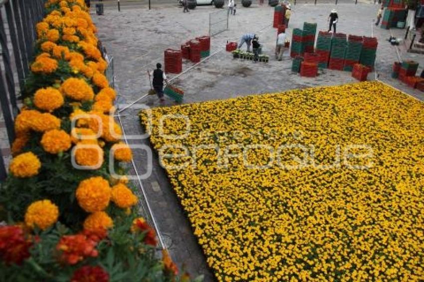 DÍA DE MUERTOS . ALFOMBRA MONUMENTAL