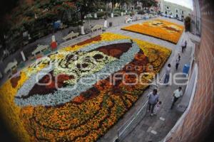 DÍA DE MUERTOS . ALFOMBRA MONUMENTAL