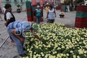 DÍA DE MUERTOS . ALFOMBRA MONUMENTAL