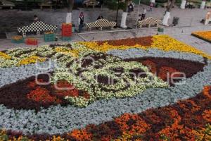 DÍA DE MUERTOS . ALFOMBRA MONUMENTAL