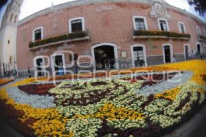 DÍA DE MUERTOS . ALFOMBRA MONUMENTAL