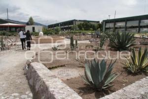 UNIVERSIDAD TECNOLOGICA DE TECAMACHALCO