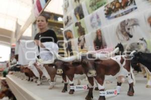 EXPO FERIA AGROPECUARIA Y AGROINDUSTRIAL