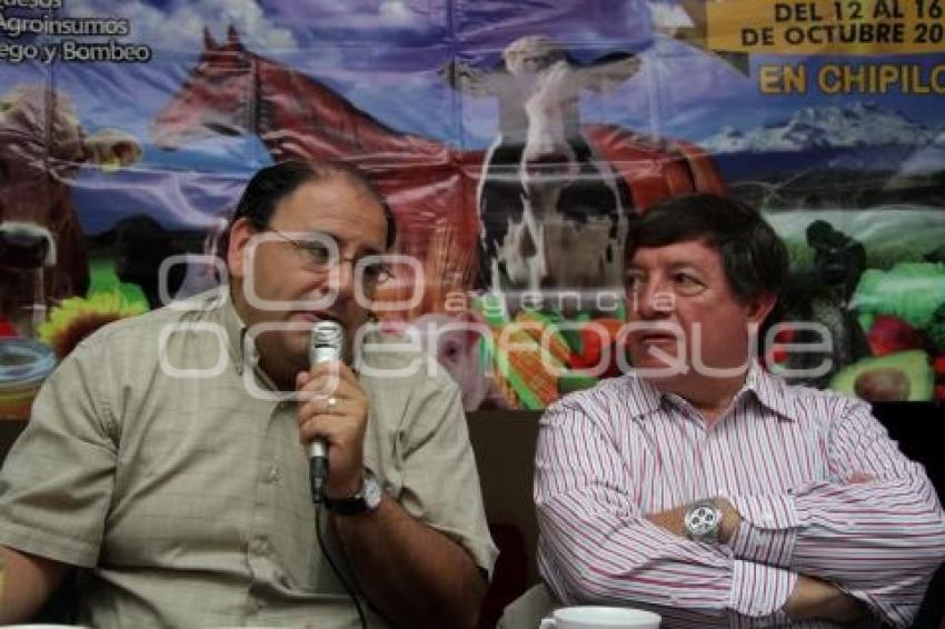 ANUNCIAN SUBASTA DE CABALLOS