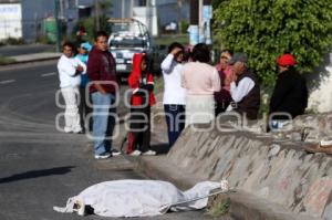 MUERE HOMBRE ATROPELLADO EN CARRETERA A VALSEQUILLO