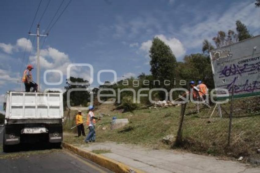 MANTENIMIENTO ÁREAS VERDES CERRO DE LORETO