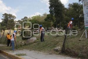 MANTENIMIENTO ÁREAS VERDES CERRO DE LORETO