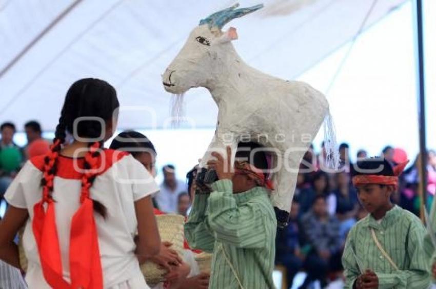 FESTIVAL . MOLE DE CADERAS