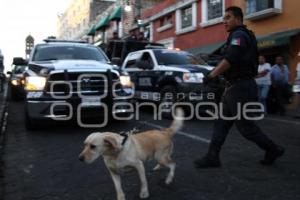 POLICIA MUNICIPAL Y PROTECCION CIVIL REALIZAN OPERATIVO EN LOS SAPOS