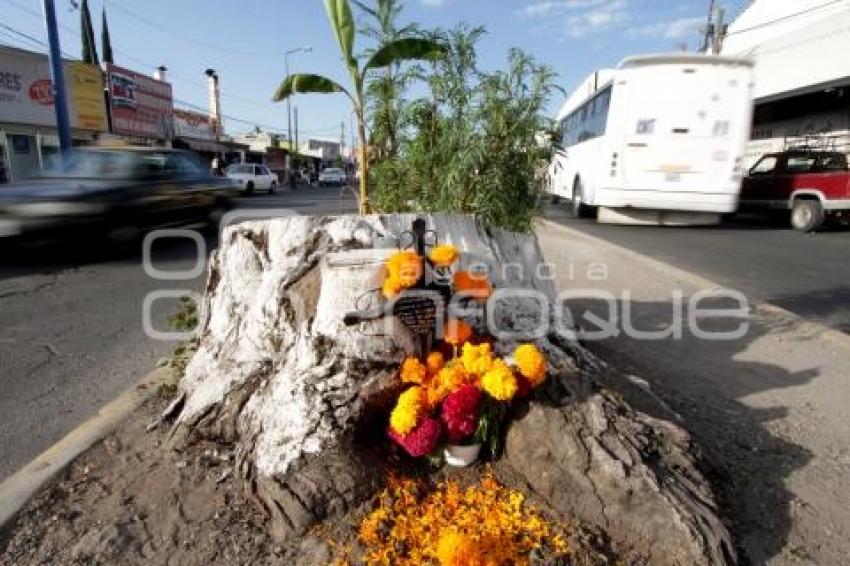 DÍA DE LOS ACCIDENTADOS